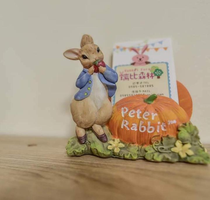Rabbit Forest B&B Жуйсуй Экстерьер фото